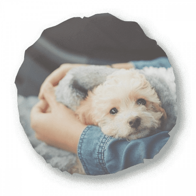 Chiot Mignon Animal Photographie Ronde Jeter Oreiller Décoration Coussin