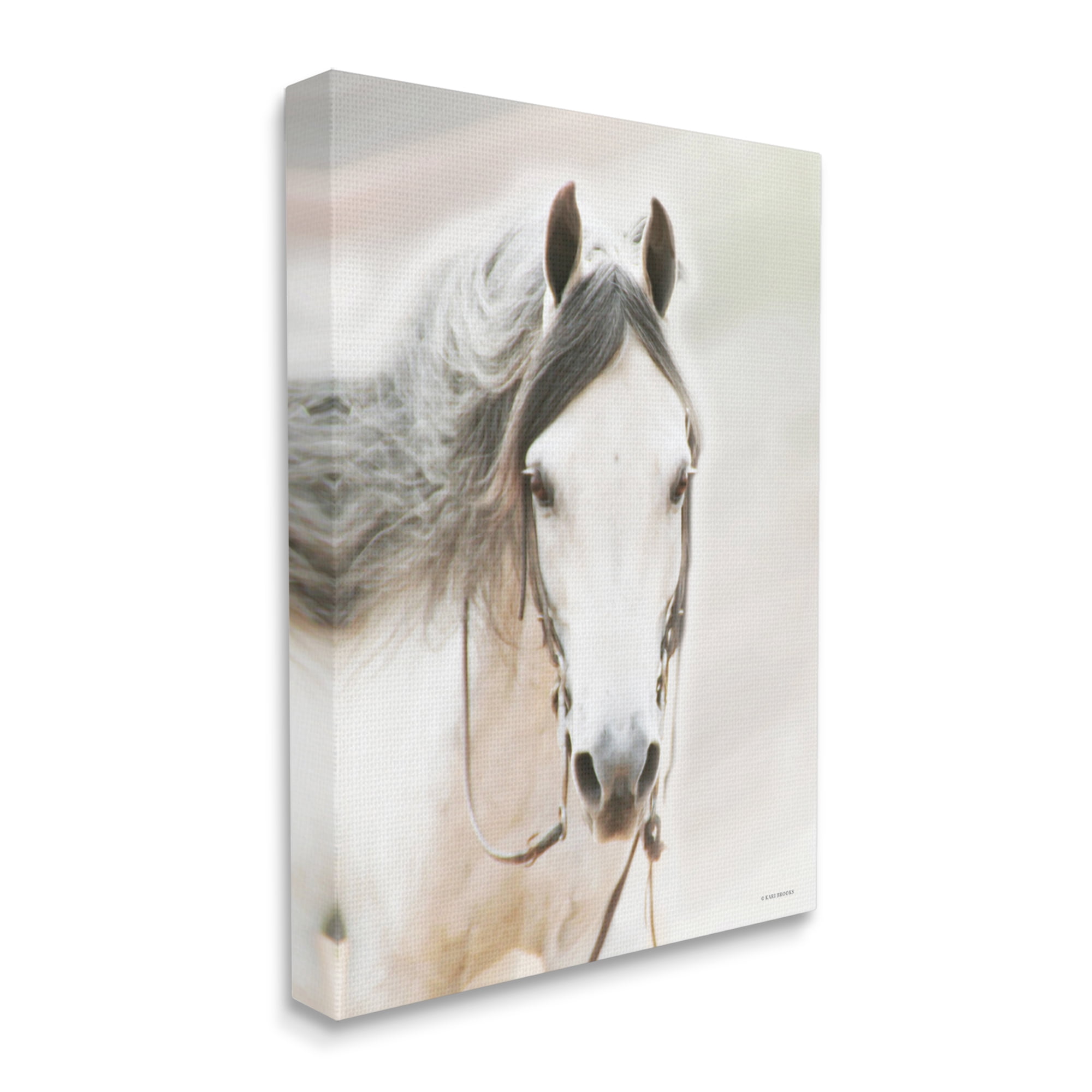 Stupell Industries White Horse Portrait Animals & Insects Photography Gallery Wrapped Canvas Print Wall Art, 36 x 48