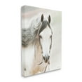 thumbnail image 4 of Stupell Industries White Horse Portrait Animals & Insects Photography Gallery Wrapped Canvas Print Wall Art, 36 x 48, 4 of 8