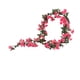 thumbnail image 1 of Flores Artificiales Colgantes, Pared de Flor de Seda Rosa Caliente Colgante 180cm con 69 Flores, Hebra Decorativa Ajustable, Flores Artificiales para la Decoración, 1 of 6