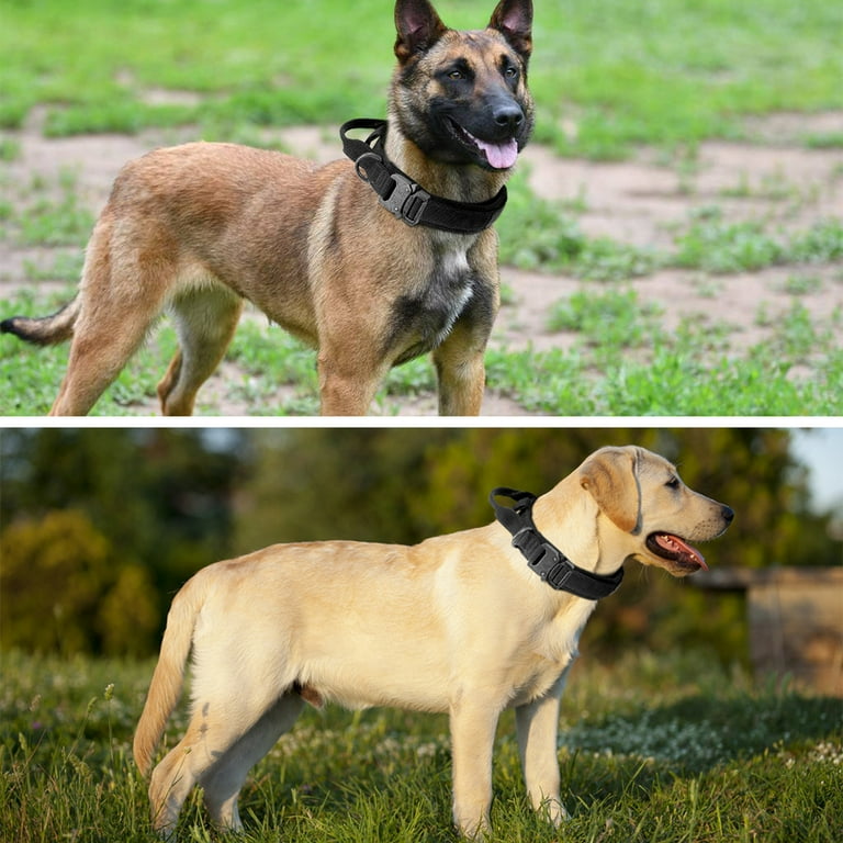 Personalized Dog Collars Plutus Pet No-Pull Martingale Dog Collar