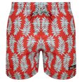 thumbnail image 1 of TRAJE DE BAÑO CORTO PARA HOMBRE SECADO RÁPIDO MAUI AND SONS  323302, 1 of 6