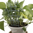 thumbnail image 3 of Advancent 12 Uds ABS crecimiento saludable de plantas con enrejado trepador de plantas de jardín adecuado para varias plantas Jardín y Patio, 3 of 6