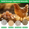 thumbnail image 6 of 2Pack Chicken Grit Feeder, Metal Oyster Shell Feeder with Lid, Hanging Gravity Chicken Poultry Feeders Trough, Coop Accessories Supplies, 6 of 7