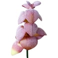 thumbnail image 1 of Coofit Artificial Succulent Pick DIY - Unpotted Mini Succulent Decor Faux Plant Stem, 1 of 4