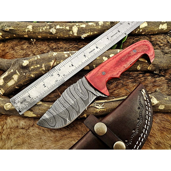 8.5" Long Damascus steel hand forged compact skinning Knife, 4" clip point full tang blade, Red dollar wood scale, Cow hide Leather sheath