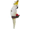thumbnail image 4 of para Puerta, Toallero para , s de Pared, Colgador de , Soporte Organizador para Auricures, Decoración de Pared, de Est UNA CUTICAT Parrot Wall Mount Sculpture, 4 of 7