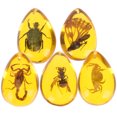 thumbnail image 3 of EeaseCA 5 Pcs Pendentif Insecte en Résine Ambre Spécimen en Résine Artificielle Collier Bracelet Décoration, 3 of 7