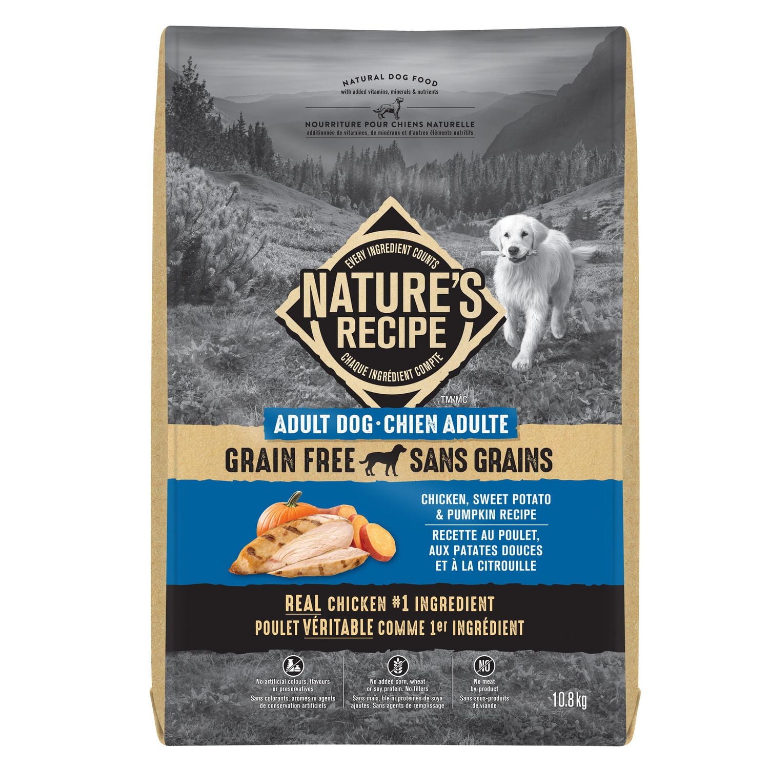 What'S a Grain Free Diet for Dogs: Benefits & Essential Tips