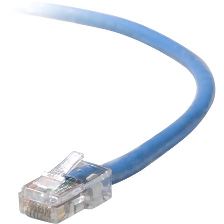 Belkin patch cable - 50 ft - blue price history on PriceWatchPro