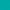 Crisp Teal, variant on Charter Club Long-Sleeve Printed Pima Cotton Tee Womens S Black shirt MSRP $26