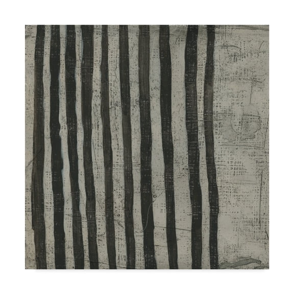 Trademark Fine Art 'Stone VII' Canvas Art by Chariklia Zarris