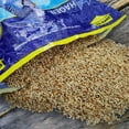 thumbnail image 2 of Hagen Parakeet (Budgie) Staple VME Seed - 2.72 kg (6 lb), 2 of 10