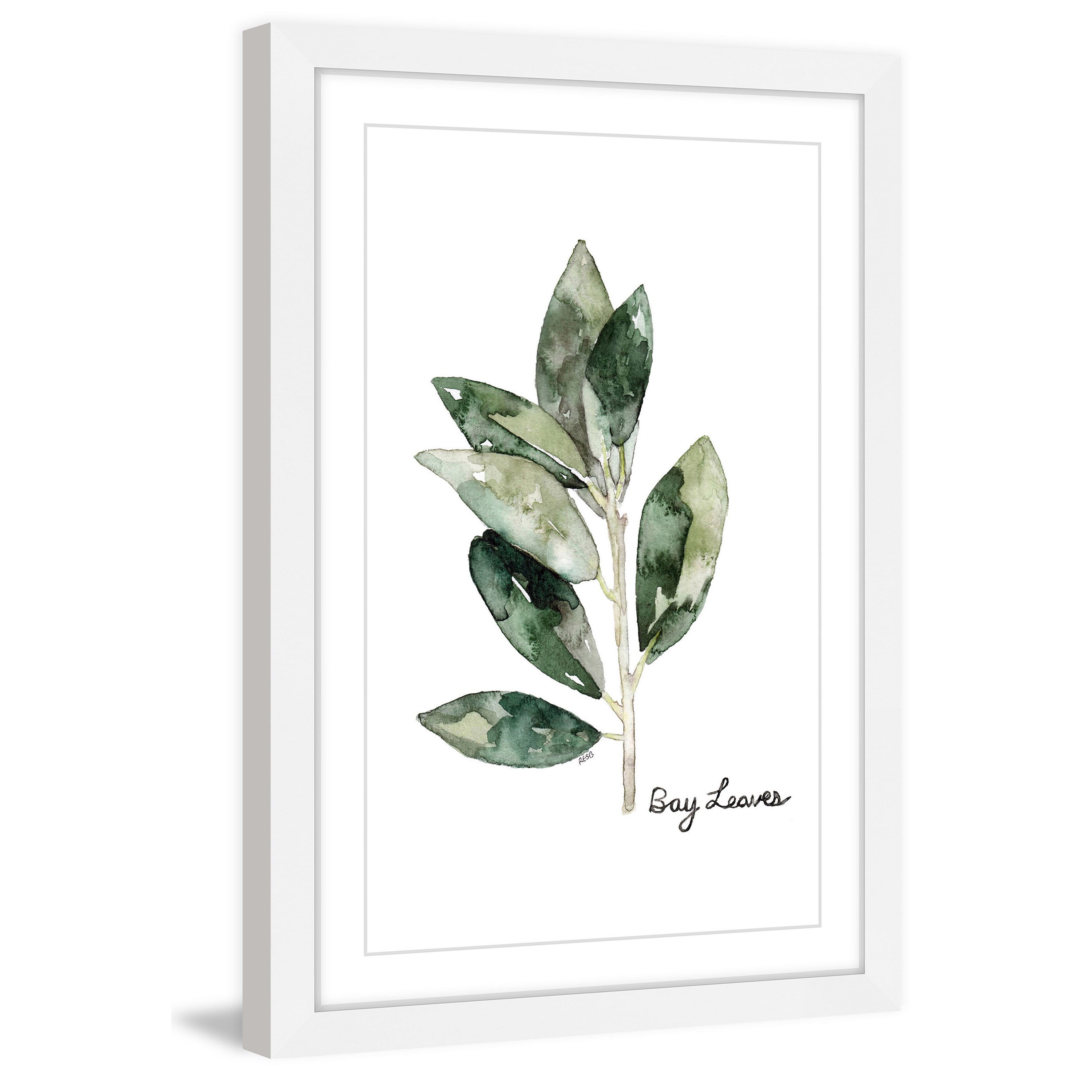 Marmont Hill "Herb Bay Leaves" by Rachel Byler Framed Painting Print