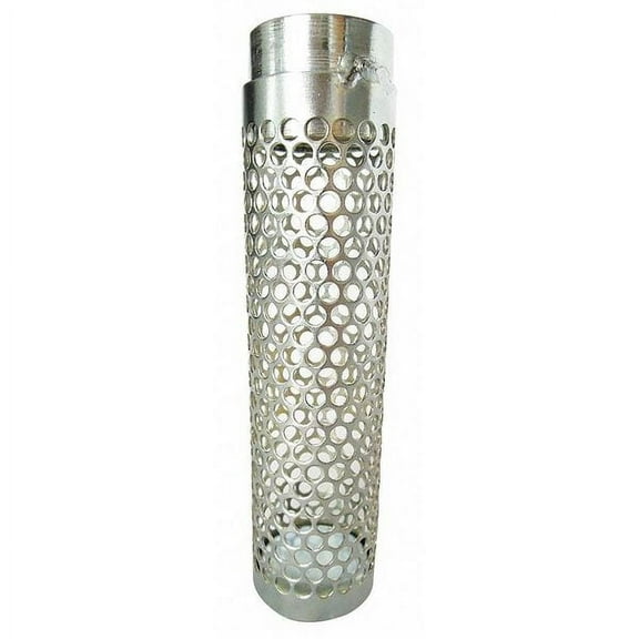 ZoroSelect Suction Strainer, 2.75dia, 2 NPSM, SidePerf