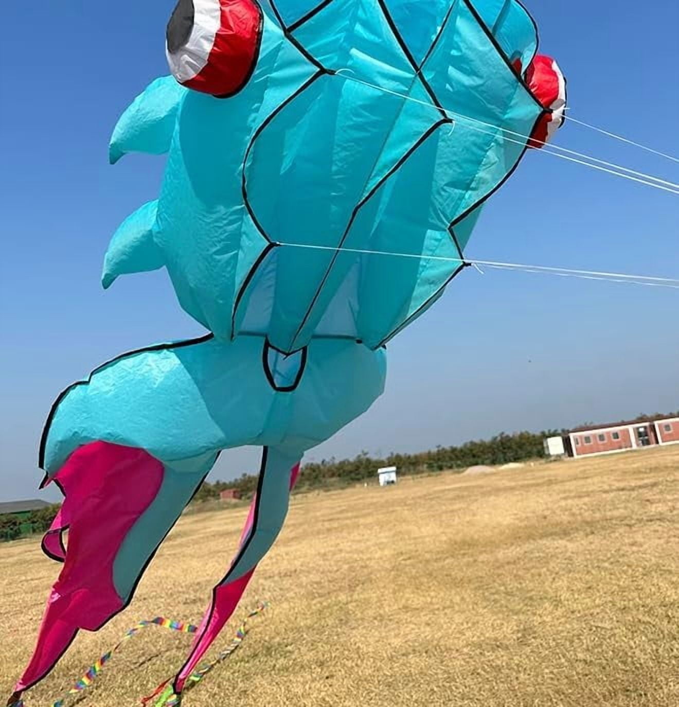 Large 43ft 3D Goldfish Frameless Soft Umbrella Kite for Adults, Easy to Fly with 330ft String for Beach and Park, Ages 12+