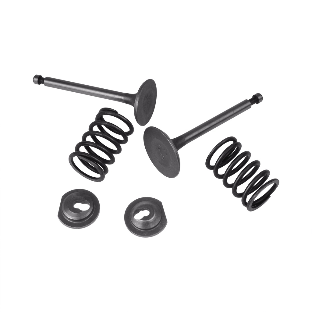 Intake Inlet Exhaust Valve Spring Retainer Set for HONDA GX340 GX390