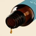 thumbnail image 4 of Scent Aura IV Four Seasons Alpine Fragrance Oil Inspired by The Four Seasons Hotel (0.34 Fl Oz|10ml, Diffuser Oil, Luxury Hotel Scent), 4 of 8