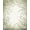 Gray Green, Pattern 1, variant on ODIKA 8'x10' Washable Area Rug Grey Botanical Vintage Border Leafy Branches Sage Greenish Woodland for Living Room, Under Sectional, Family , Durable, Non-Slip