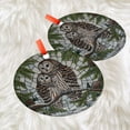 thumbnail image 3 of Barred Owl on Pine tree branch GLASS Hanging, Winter landscape, barred owl suncatcher, bird watching gift, Christmas gift, owl lover, Ornament 2025, Holiday 2025, Seasonal Holiday, 3 of 5