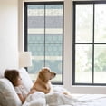 thumbnail image 2 of Farm Fruits Window Privacy Film, Watermelon Lemons Peach Blue Grey Striped Static Cling UV Sun Blocking Heat Control Window Tint Day and Night, Non-Adhesive One Way Windows Privacy Cover 23.6''x59'', 2 of 7