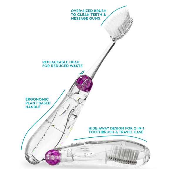 RADIUS Tour Travel Brush & Case with Replaceable Brush Head ADA Accepted Toothbrush Improve Gum Health - Purple - Pack of 1
