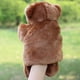 thumbnail image 5 of Adorable oso de zoológico marioneta de mano de peluche amigos animales marionetas educativas muñecos de oso (marrón) BRILLAR Rojo Verde, 5 of 5