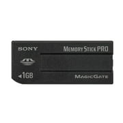 Sony MagicGate - Flash memory card - 1 GB - MS PRO - for Cyber-shot DSC-F88, P150, P200, P93, S40, S60, V3, W15, W17, W5, W7/B; Handycam DCR-TRV480