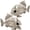 2PCS Fish Skeleton, variant on Joyfy 2 Pcs Fish Skeleton Halloween Decoration,9.5 Inch Posable Plastic Animals Halloween Skeleton for Indoor Outdoor Halloween Decorations,Haunted House Party Props