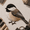 Chickadee A4, variant on Beginner-Friendly 3D Patchwork Bird DIY Craft Kit, Vintage Floral Fabric Sewing Art Set for Beginners, Handmade Bird Wall Decor Craft Supplies Summer Garden Hummingbird
