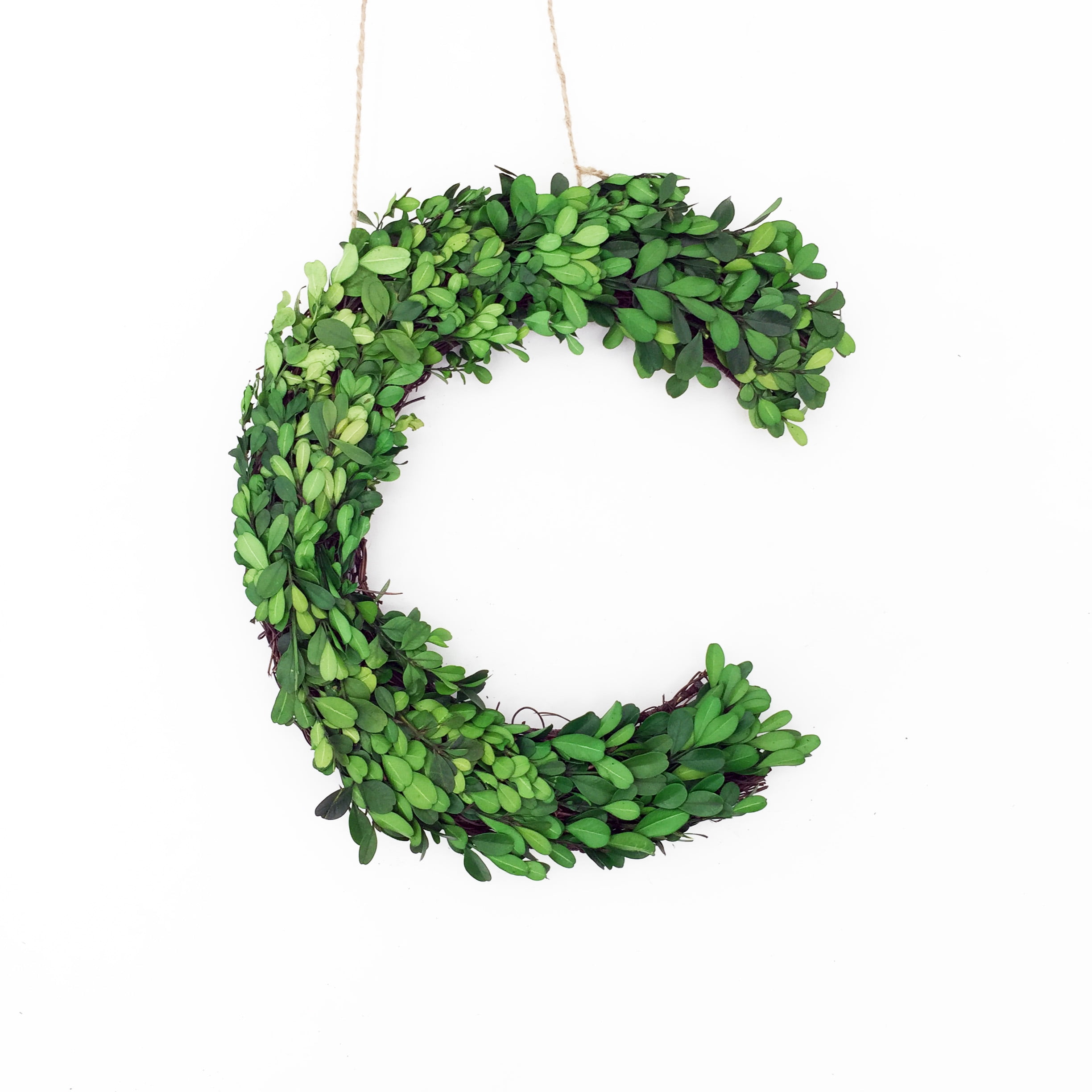 Modern Home 12" Real Preserved Boxwood Monogram Wreath Letters C