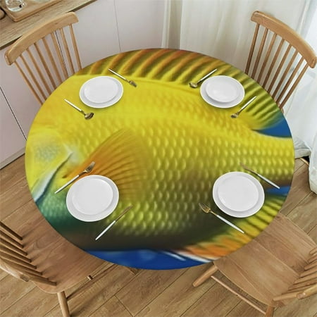 

Sheronv Fish Ocean Bubbles Round Table Cover Stain Resistant Washable Indoor Outdoor Tablecloth Kitchen Dining Wedding Parties 100% Polyester Fiber Outdoor Fitted Table Cover 31 -35
