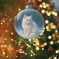 thumbnail image 2 of HCBY Cute Cat Christmas Glass Ornaments Collection, Xmas Tree Kitten Ball Ornament, Vivid 3D Animal Decoration, for Cats Lovers, Party Centerpiece Mantel, Fall Winter Home Decor(B,3.14"), 2 of 5