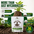 thumbnail image 5 of Big Foot Granular Mycorrhizae - Double Your Plant Size – Easy to Use – Made in USA – Treats 30 Plants (7,500 mycorrhizal Spores) 4 Ounces, 5 of 11