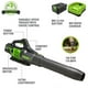 Greenworks Souffleur PRO 80 V + Coupe-Bordure 16 Pouces, Batterie 2,0 AH et Chargeur Inclus – image 2 sur 5