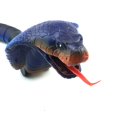 thumbnail image 2 of Juguete de broma con control remoto infrarrojo para niños, ideal como regalo novedoso e interesante para mascotas, como cobra, insecto, cucaracha, oruga, gato, perro., 2 of 5