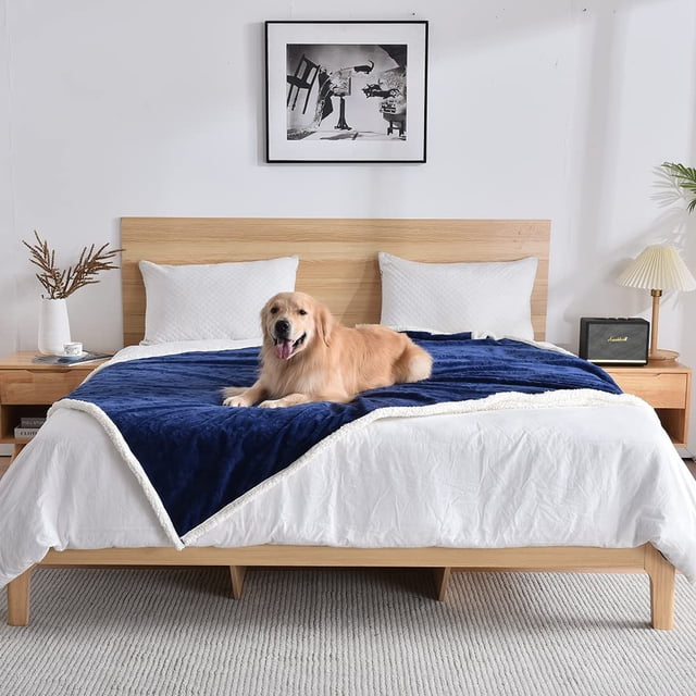Manta Impermeable Qeils para Mascotas Grandes 150x200 cm Azul Marino