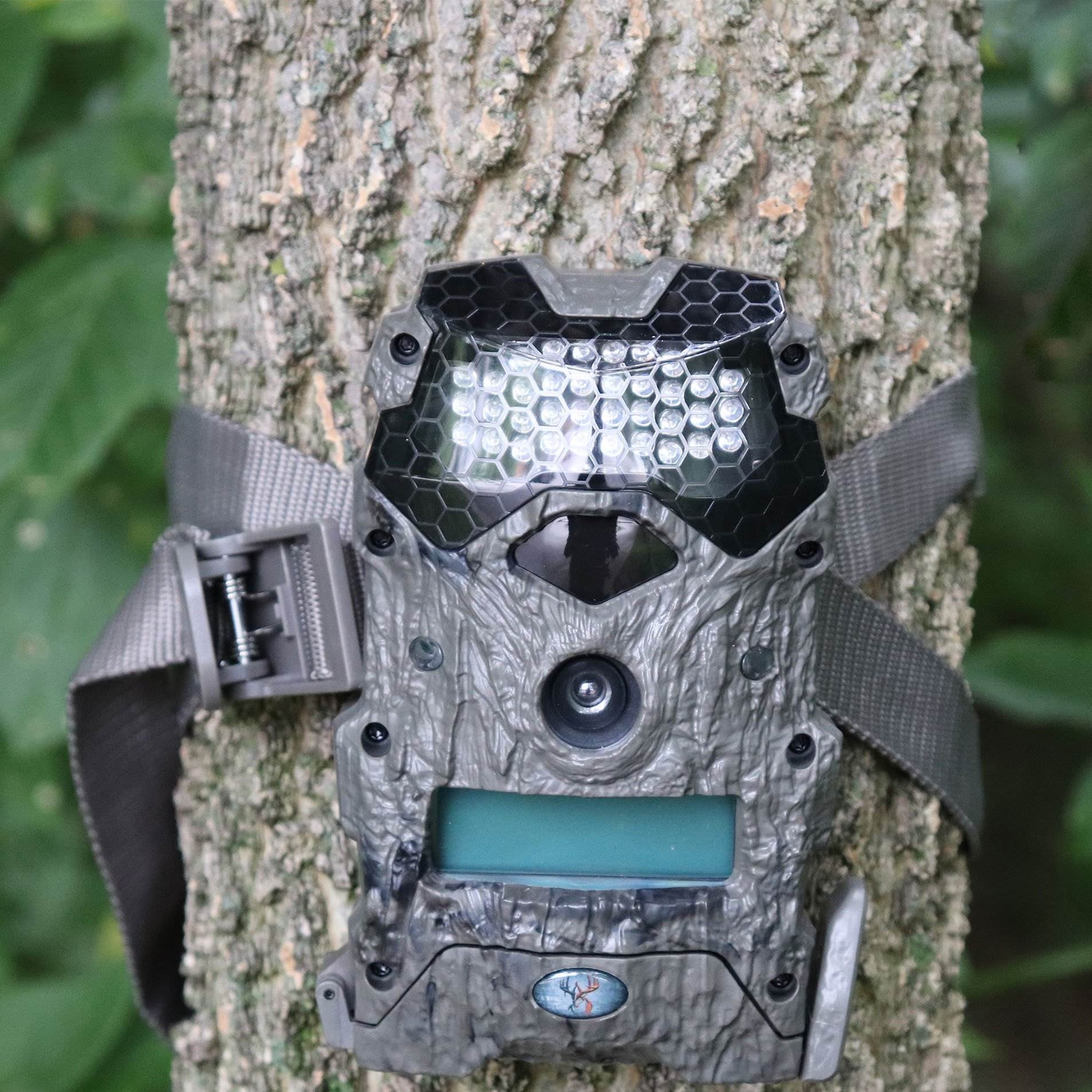 wildgame scrapeline camera