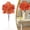 O2, variant on Ayprnig Fall Branches 12.9in Artificial Maple Leaves Branches Fall Leaves Stems For Thanksgiving Table Centerpiece Fake Fall Leaves Fall Leaf Stems Autumn Leaves Fall Table Decor