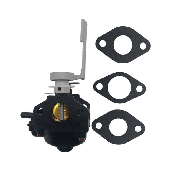 Maoww Motorcycle Carburetor Carburetors Motorbike Scooter Engine Tractors Repair Parts Replacements Accessories Shop Store