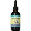 Herbs For Kids Echinacea Astragalus, 2 OZ