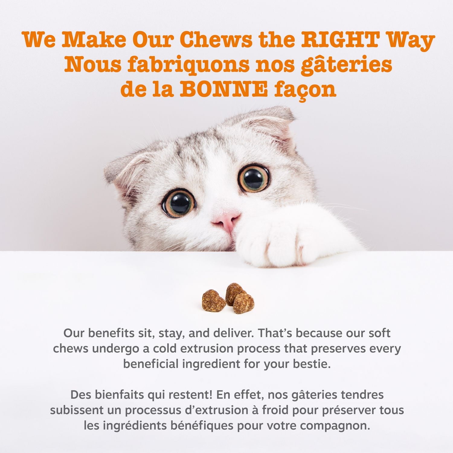 Zesty Paws Hairball Chews Bacon Flavour Digestive Supplement Soft Chews Cat Supplement