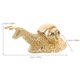 thumbnail image 2 of OHOIOLLA Tirador Dorado De Latón Con Forma De Caracol Para Gabinetes Y Muebles Decorativos, 2 of 6