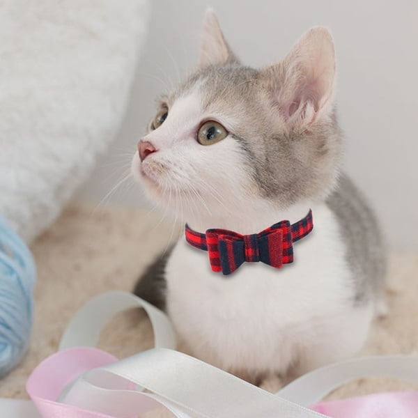 cat collar and tie