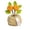 C, variant on Hand Knitted Flower Shaped Crochet Potted Plant An Everlasting Bonsai Suitable For Desktop Decoration And As A Holiday Gift.