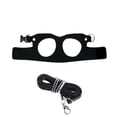 thumbnail image 2 of Small Pet Chest Strap and Leash Set 3 Sizes S M L for Growing Squirrels, Adjustable 1.65m Rope Walking Harness, Escape Proof Reflective Lead for Chipmunks Small Animals Outdoor, 2 of 9