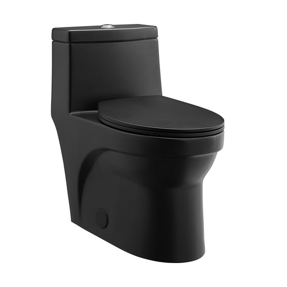 Tours One-Piece Elongated Toilet Vortex Dual-Flush 1.1/1.6 gpf, Matte Black