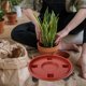 thumbnail image 4 of TABLZONE Flower Pot Mover Con Base Plástica Reforzada Y Para En Jardinería, 4 of 8