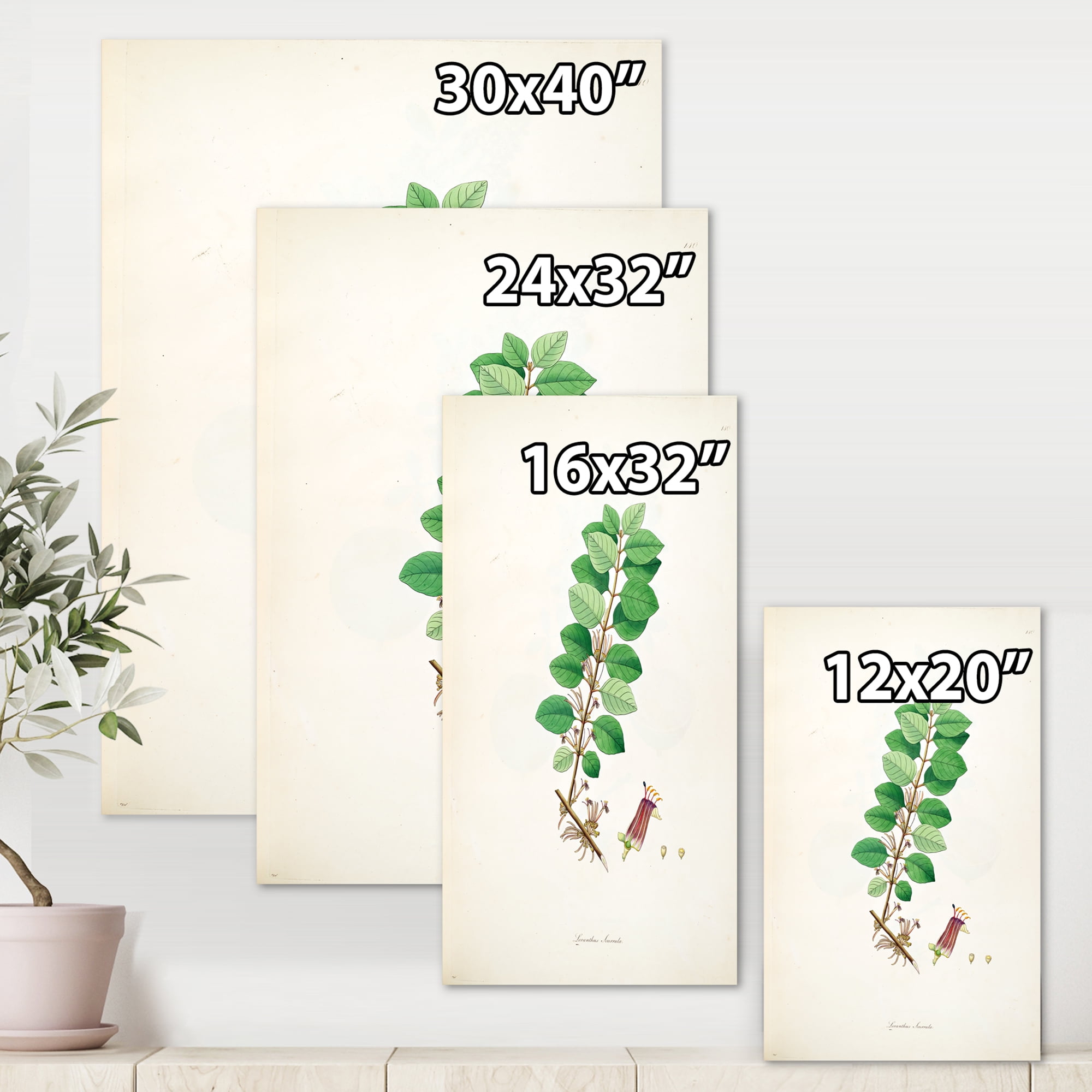 Designart ' Ancient Plant Life XVII ' Farmhouse Canvas Wall Art Print