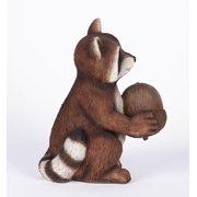 Racoon Holding Acorn
